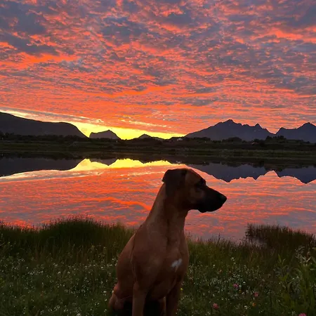 Leirelva Overnattning Lofoten * Gravdal (Vestvagoy)
