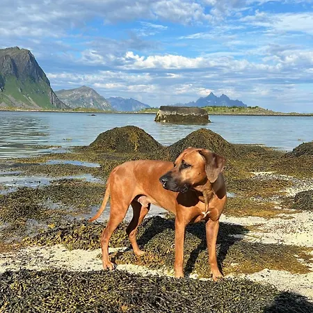 Hotel Leirelva Overnattning Lofoten Gravdal (Vestvagoy)