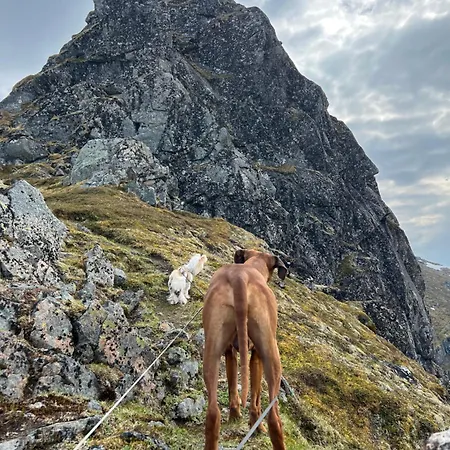 Leirelva Overnattning Lofoten
