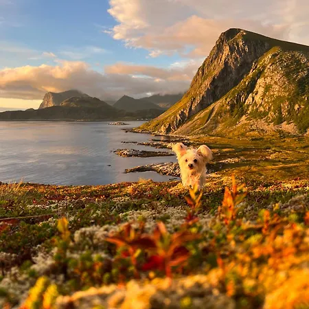 Hotel Leirelva Overnattning Lofoten *