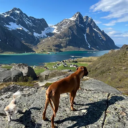 Leirelva Overnattning Lofoten * Gravdal (Vestvagoy)