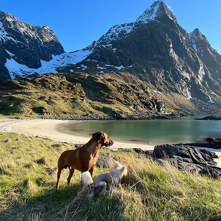 Leirelva Overnattning Lofoten Hotel Gravdal (Vestvagoy)